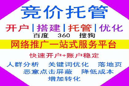 SEM搜索引擎优化案例：如何提升网站流量和转化率